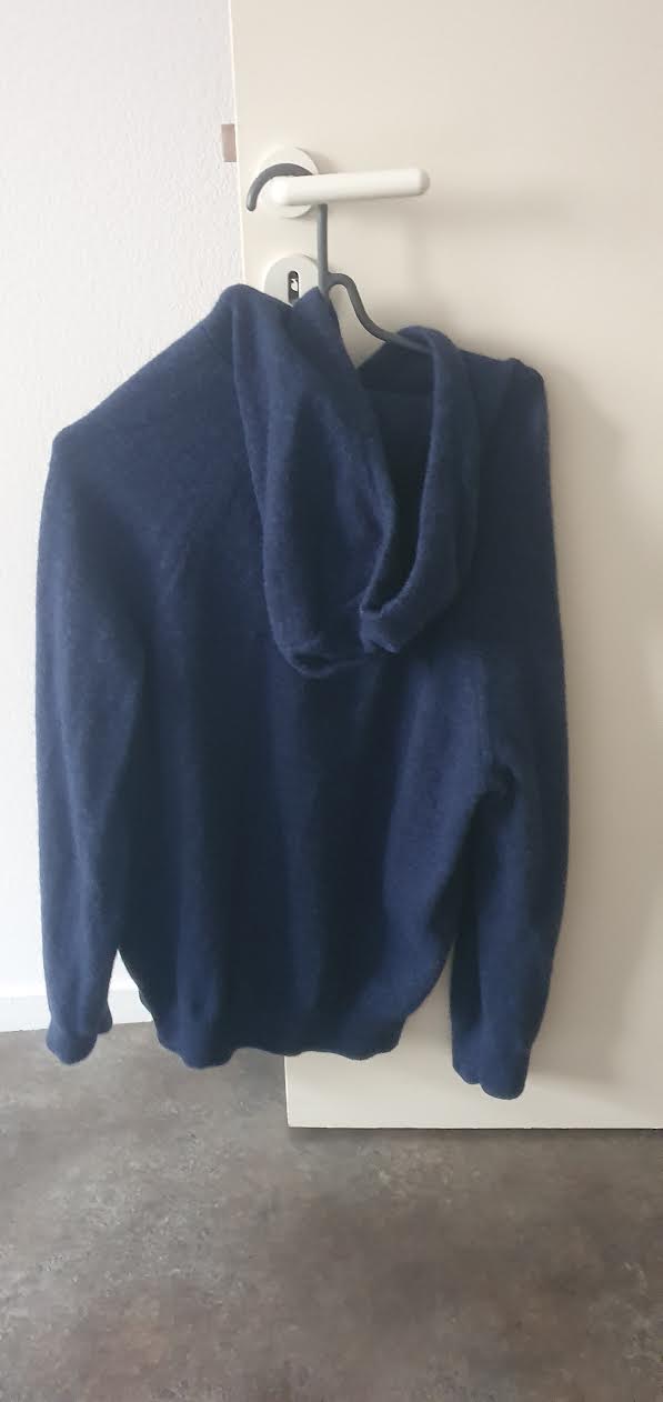 Pull à capuche en laine