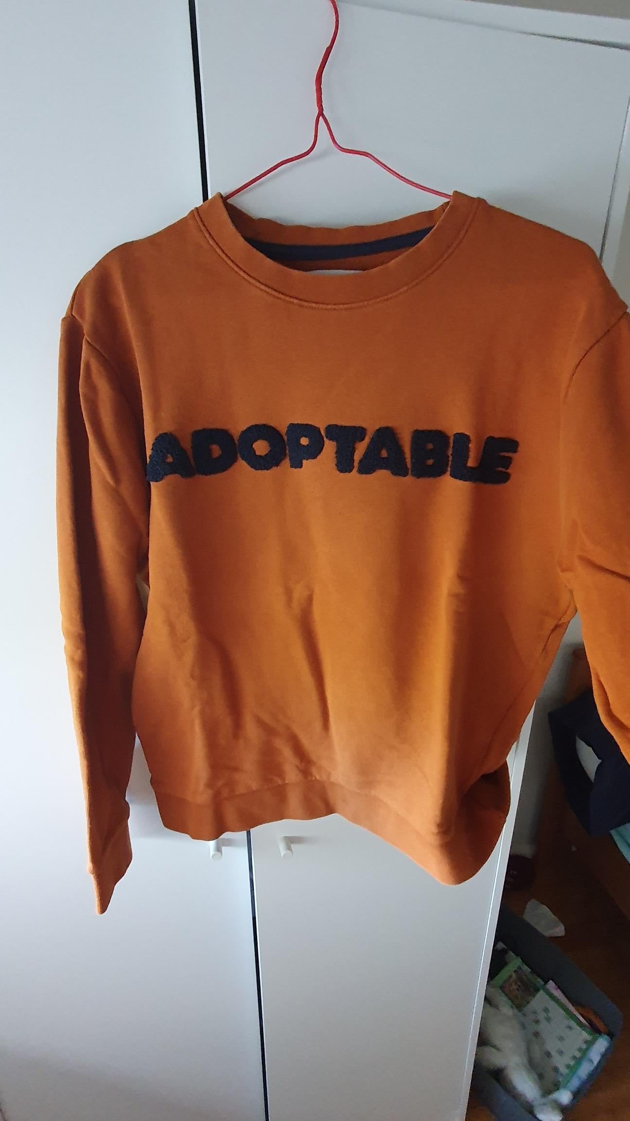 Sweat col rond Adoptable