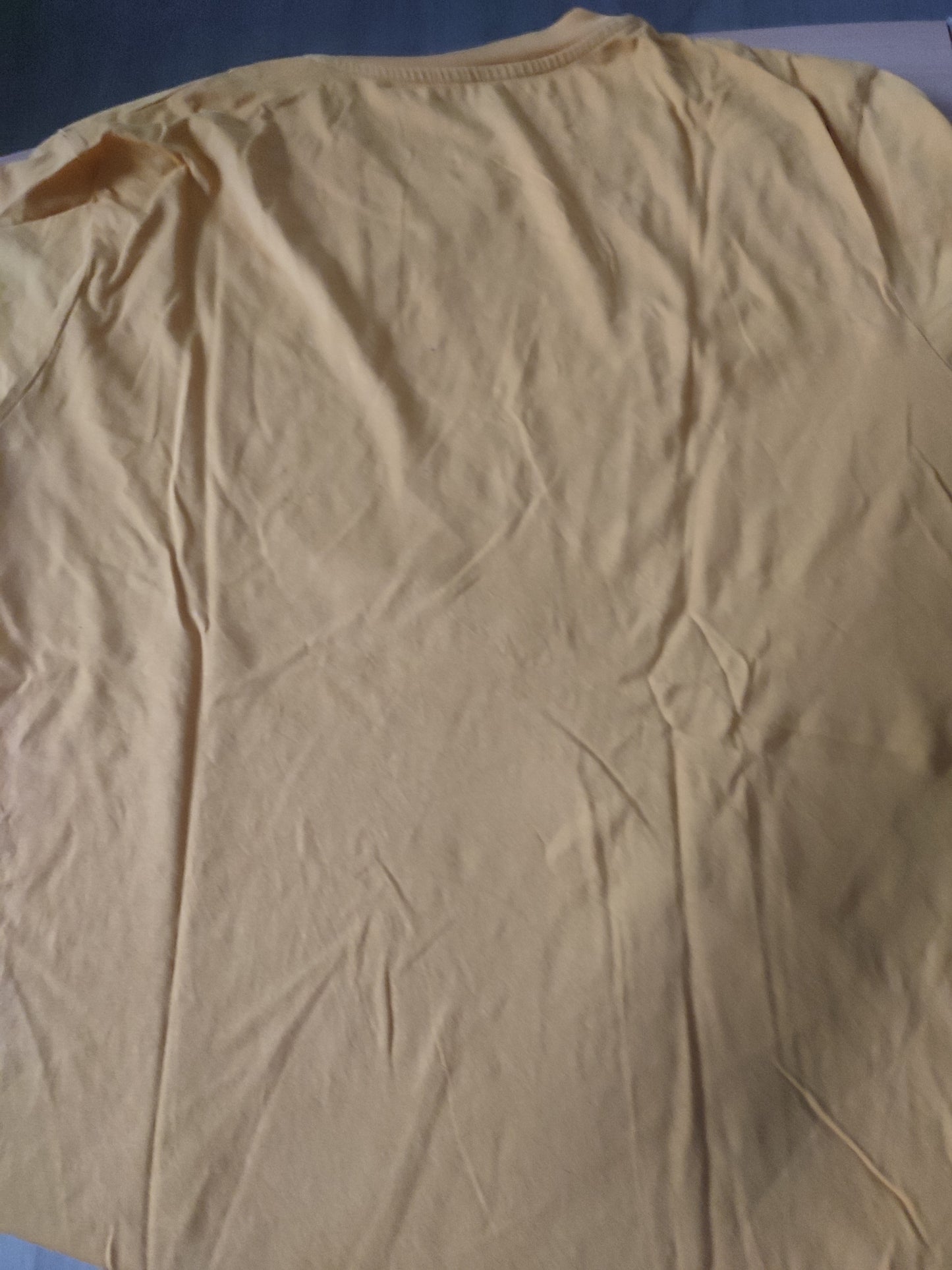 Tee-shirt imprimé poitrine
