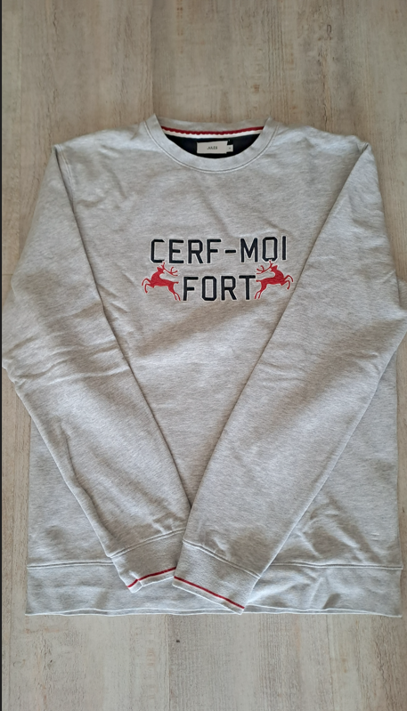 Sweat Noël homme  CERF-MOI FORT