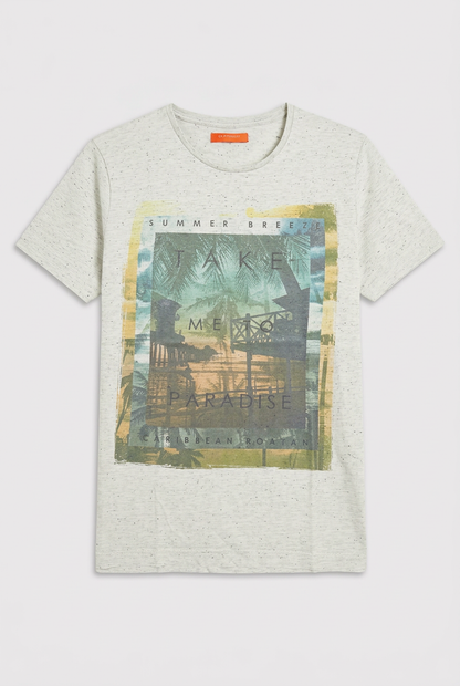 Tee shirt imprimé gris