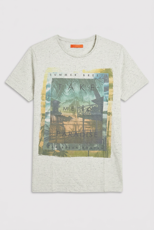 Tee shirt imprimé gris