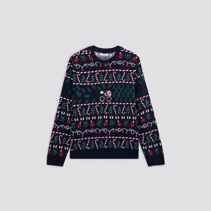 Pull de noël lumineux adulte