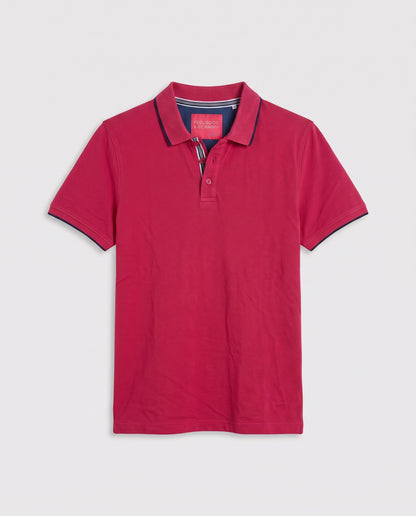 Polo rose