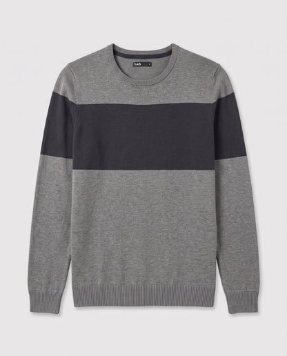 Pull gris rayure bleue marine - S